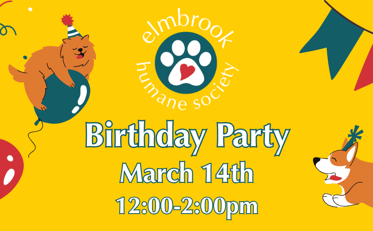 Birthday Party - March 14th, 12-2pm